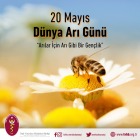 Kars, Ardahan, Iğdır Bölgesi Veteriner Hekimleri Odası Yönetim Kurulunun “Dünya Arı Günü” nedeniyle basın açıklaması yayınladı.