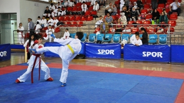 Doğu ve Güneydoğu İlleri Karate Turnuvası Düzenlenecek