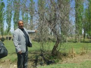 Metsamor Yüzünden Ağaçları Kuruyan Iğdır'lı Çiftçiler Tepkili