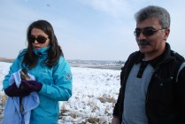 Iğdır'da Kuş Cenneti'nin Kış Misafirlerinin Sayısı Belirlendi