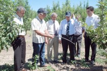 Iğdır Valisi Amir Çiçek Toprak ve Su Kaynakları Araştırma Enstitüsü Iğdır İstasyonunu Gezdi