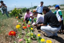 Şehit Türkler Anıt ve Müzesine 2000 Adet Çiçek Dikildi